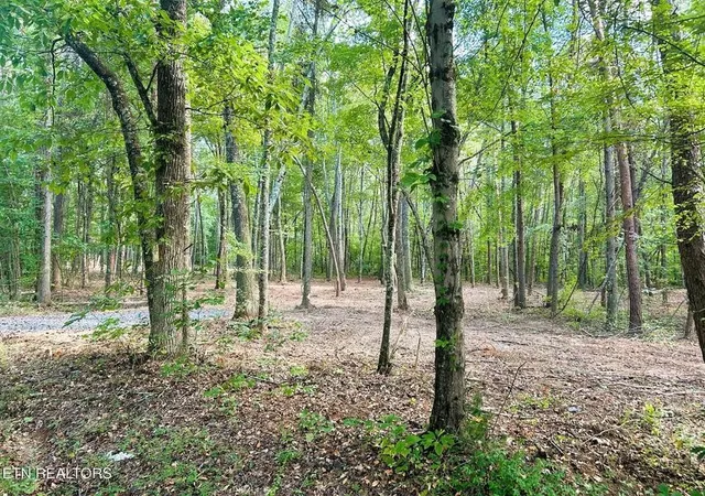 20th image of 5 Pleasant Hill Rd Road, Ten Mile, TN 37880 | MLS# 3244175