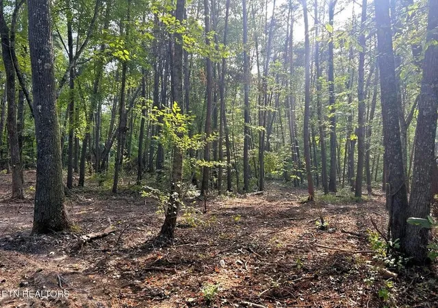 1st image of 5 Pleasant Hill Road, Ten Mile, TN 37880 | MLS# 3244259