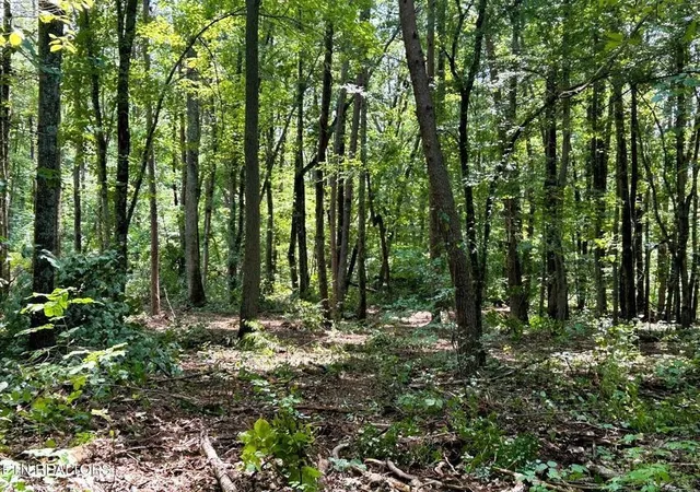 19th image of 5 Pleasant Hill Road, Ten Mile, TN 37880 | MLS# 3244259