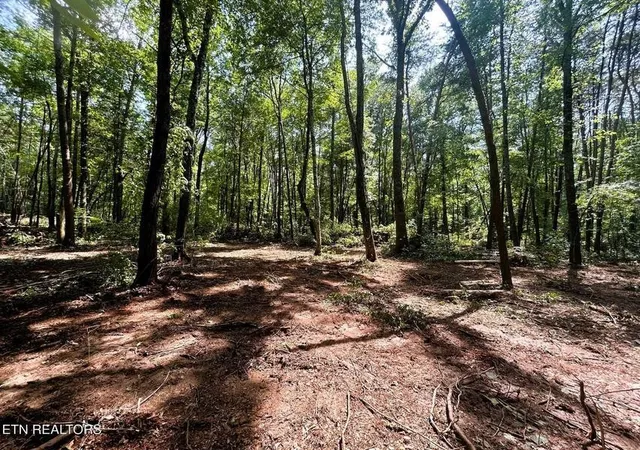 2nd image of 5 Pleasant Hill Road, Ten Mile, TN 37880 | MLS# 3244259