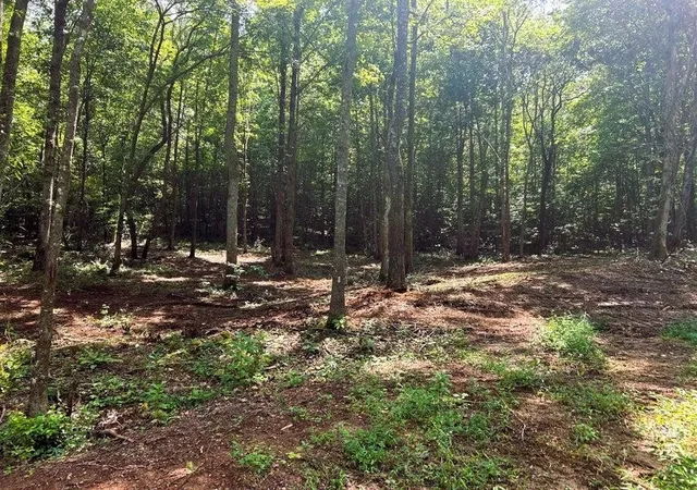 1st image of 8 Pleasant Hill Road, Ten Mile, TN 37880 | MLS# 3244265