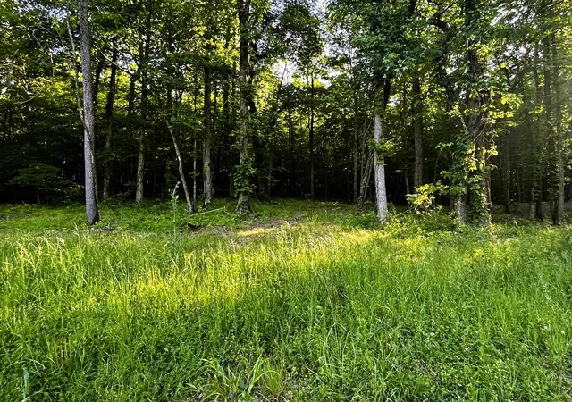 1st image of 9 Pleasant Hill Road, Ten Mile, TN 37880 | MLS# 3244247