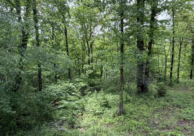 Homes for sale in Summertown, TN | 130 Trace View Dr, Summertown, TN 38483 | MLS# 3178670