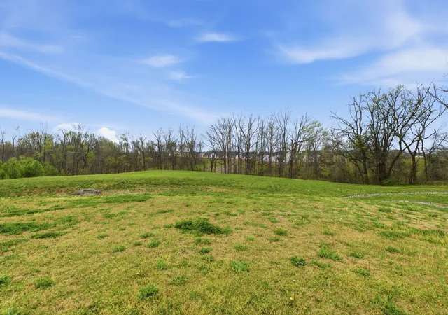 32nd image of 3042 Killarney Park, White House, TN 37188 | MLS# 3166921