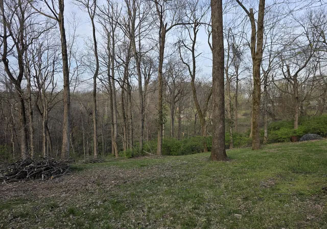 Photo 3 of Land for sale at 0 Griffith Rd, Nashville, TN 37221 | MLS# 3165865 | Listing updated on 2026-08-15