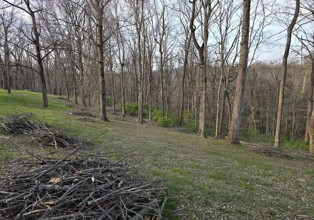 Photo 4 of Land for sale at 0 Griffith Rd, Nashville, TN 37221 | MLS# 3165865 | Listing updated on 2026-08-15