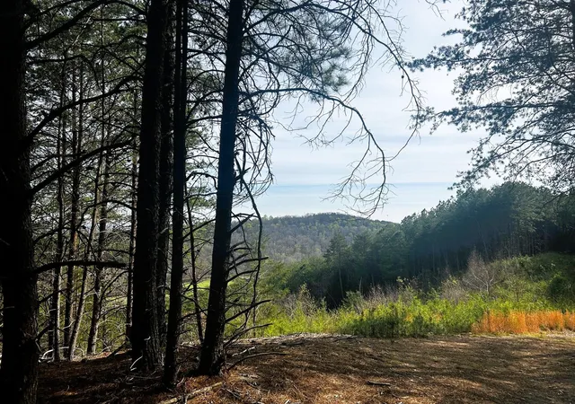 2nd image of 7 Sw Owl Hollow Road, Mc Donald, TN 37353 | MLS# 3244260