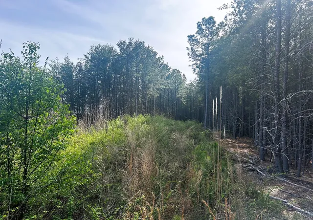 3rd image of 7 Sw Owl Hollow Road, Mc Donald, TN 37353 | MLS# 3244260