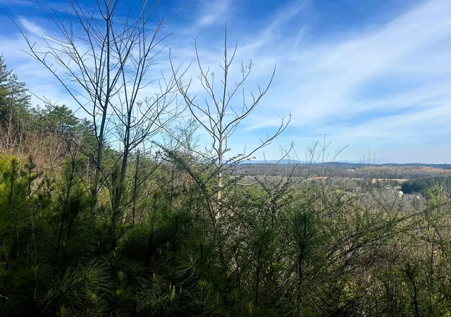 32nd image of 7 Sw Owl Hollow Road, Mc Donald, TN 37353 | MLS# 3244260