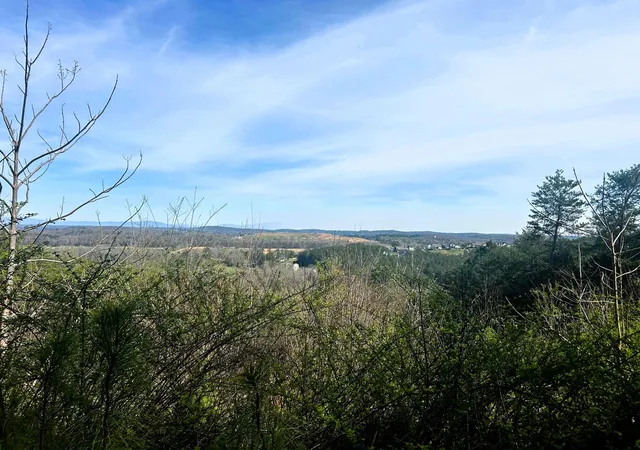 4th image of 7 Sw Owl Hollow Road, Mc Donald, TN 37353 | MLS# 3244260