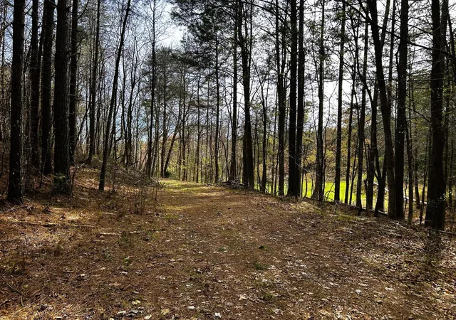 5th image of 7 Sw Owl Hollow Road, Mc Donald, TN 37353 | MLS# 3244260
