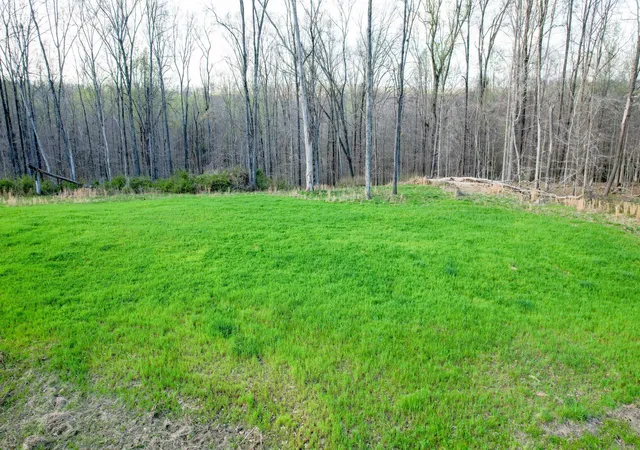 Homes for sale in Vanleer, TN | 0 Bell Hollow Road, Vanleer, TN 37181 | MLS# 3166481