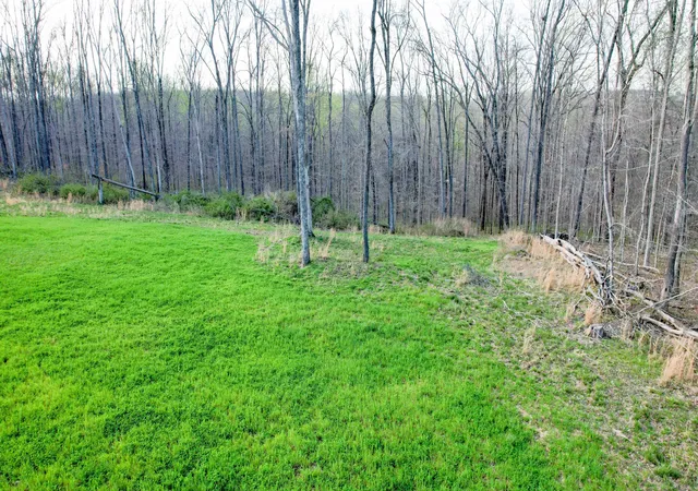 Homes for sale in Vanleer, TN | 0 Bell Hollow Road, Vanleer, TN 37181 | MLS# 3166481
