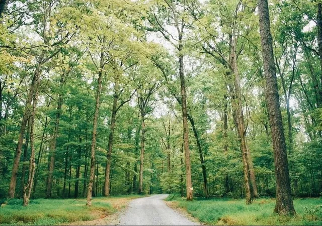 27th image of 127 Ironhorse Way, Dickson, TN 37055 | MLS# 3166490