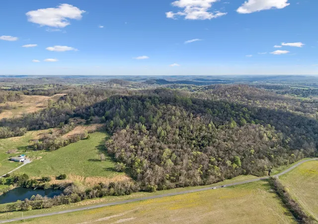 Homes for sale in Bell Buckle, TN | 0 Beechwood Rd, Bell Buckle, TN 37020 | MLS# 3166999