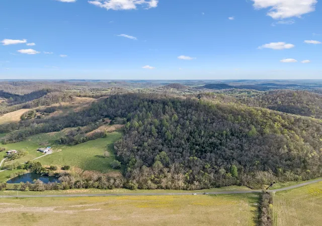 Homes for sale in Bell Buckle, TN | 0 Beechwood Rd, Bell Buckle, TN 37020 | MLS# 3166999