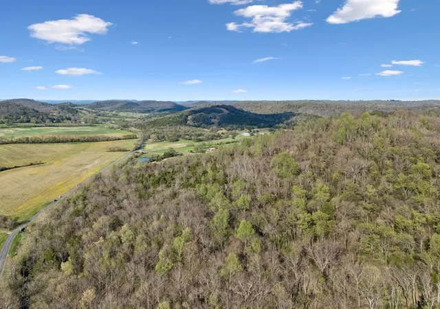 Homes for sale in Bell Buckle, TN | 0 Beechwood Rd, Bell Buckle, TN 37020 | MLS# 3166999