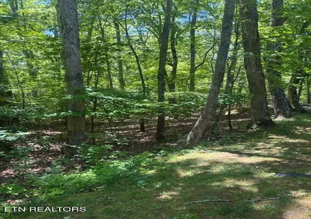 30th image of 101 Hilton Lane, Crossville, TN 38558 | MLS# 3166555