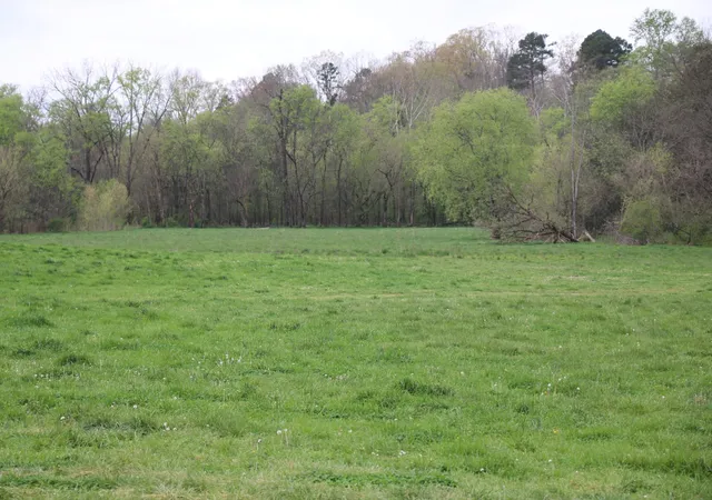 Homes for sale in Madisonville, TN | 838 Campground Road, Madisonville, TN 37354 | MLS# 3244219