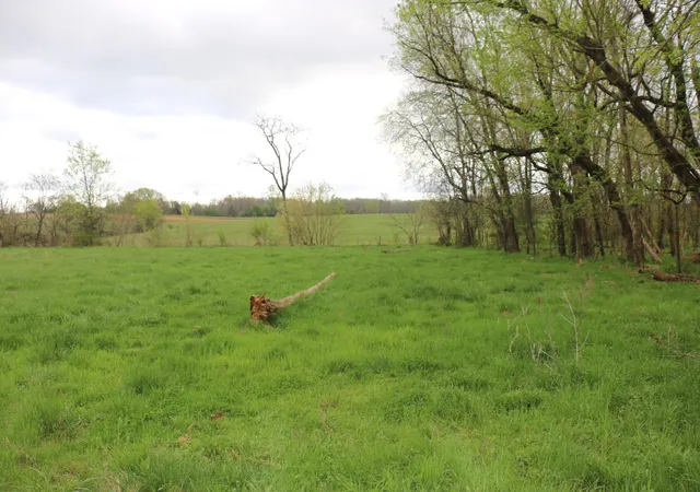 Photo 3 of Sale Pending at 606 Campground Rd, Madisonville, TN 37354 | MLS# 3244219 | Listing updated on 2026-08-13