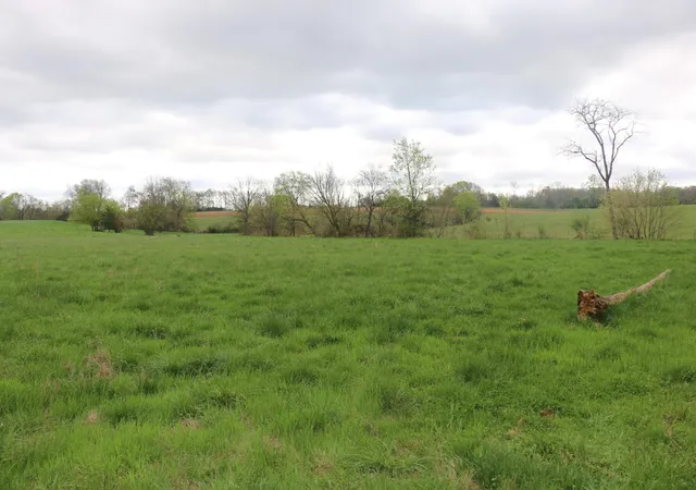 Photo 4 of Sale Pending at 606 Campground Rd, Madisonville, TN 37354 | MLS# 3244219 | Listing updated on 2026-08-13