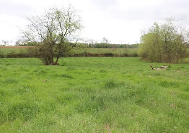 3rd image of 551 Campground Road, Madisonville, TN 37354 | MLS# 3244217