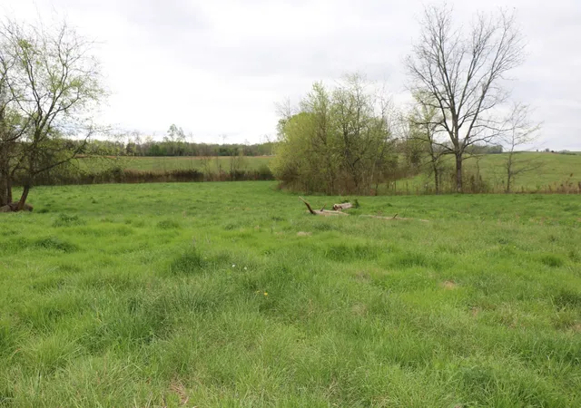 4th image of 551 Campground Road, Madisonville, TN 37354 | MLS# 3244217