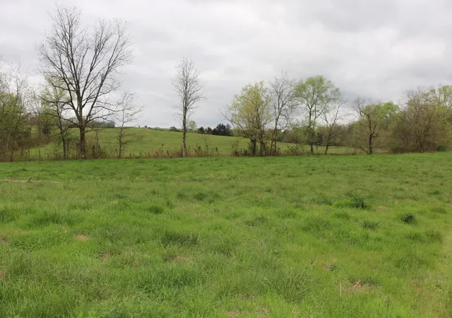5th image of 551 Campground Road, Madisonville, TN 37354 | MLS# 3244217