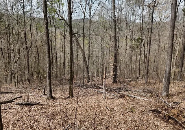 1st image of 0 Geren Subdivision Lane, Decatur, TN 37322 | MLS# 3301798