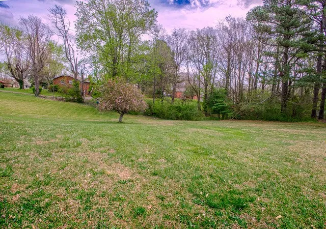 Homes for sale in Greenbrier, TN | 1213 Mayes Dr, Greenbrier, TN 37073 | MLS# 3168155