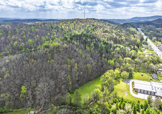 Homes for sale in Sale Creek, TN | 0 Gothard Road, Sale Creek, TN 37373 | MLS# 3178408