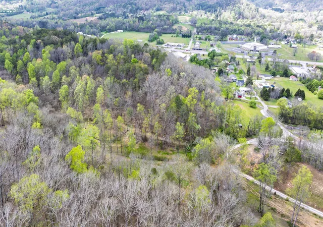 Homes for sale in Sale Creek, TN | 0 Gothard Road, Sale Creek, TN 37373 | MLS# 3178408