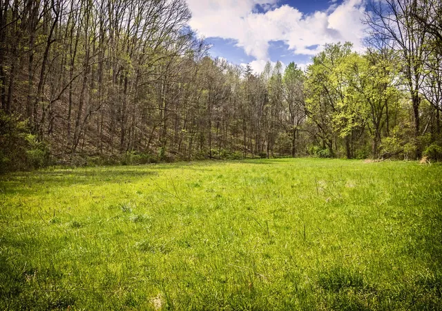 Homes for sale in Sale Creek, TN | 0 Gothard Road, Sale Creek, TN 37373 | MLS# 3178408