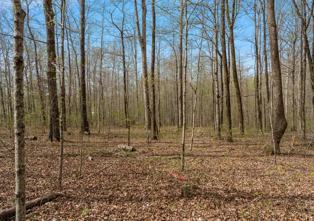 Photo 1 of Land for sale at 0 Natchez Tr Rd, Franklin, TN 37064 | MLS# 3168775 | Listing updated on 2026-09-26