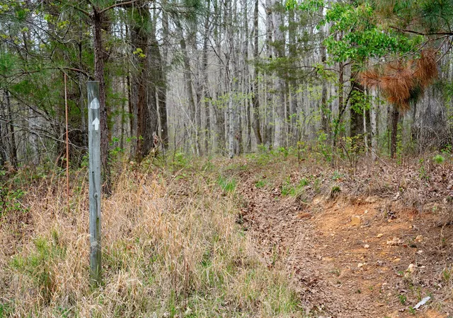 Photo 2 of Land for sale at 0 Natchez Tr Rd, Franklin, TN 37064 | MLS# 3168775 | Listing updated on 2026-09-26