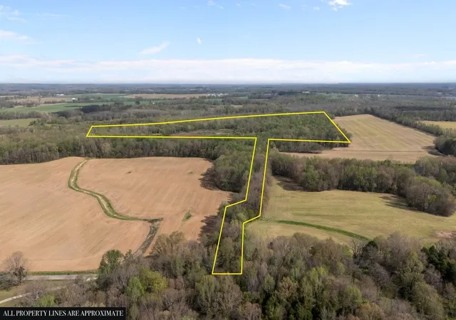 Photo 1 of Land for sale at 2715 Herrondale E Rd, Henry, TN 38231 | MLS# 3167810 | Listing updated on 2026-10-02