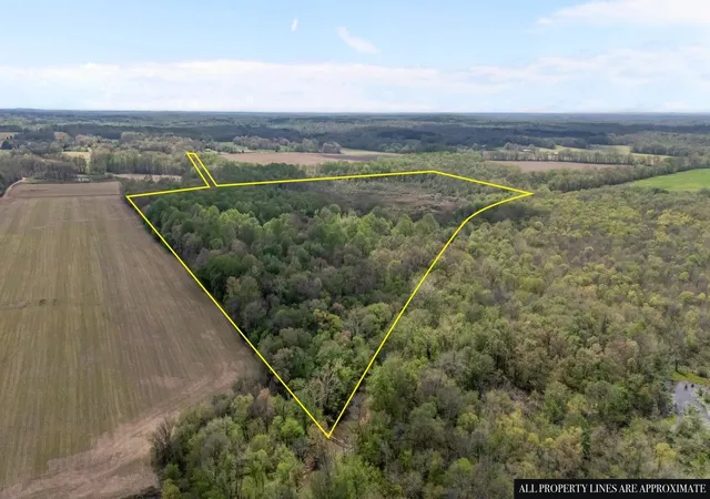 Photo 3 of Land for sale at 2715 Herrondale E Rd, Henry, TN 38231 | MLS# 3167810 | Listing updated on 2026-10-02