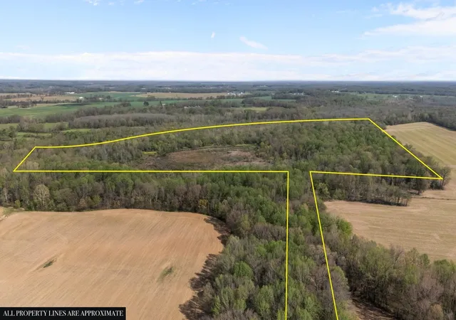 Photo 4 of Land for sale at 2715 Herrondale E Rd, Henry, TN 38231 | MLS# 3167810 | Listing updated on 2026-10-02