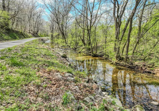 Homes for sale in Mount Pleasant, TN | 0 Pickard Hollow Rd, Mount Pleasant, TN 38474 | MLS# 3167568