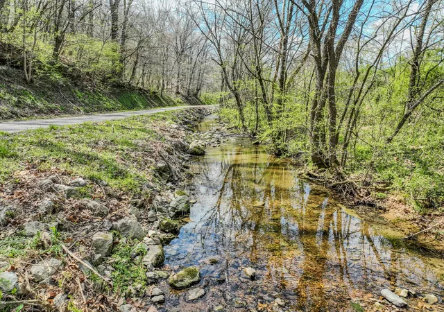 Homes for sale in Mount Pleasant, TN | 0 Pickard Hollow Rd, Mount Pleasant, TN 38474 | MLS# 3167568