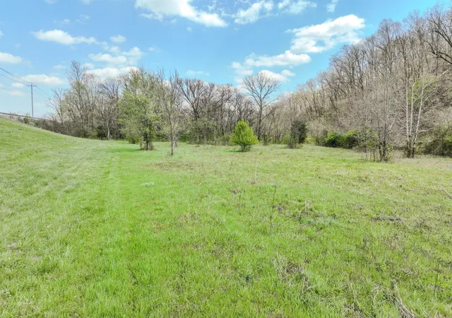 Homes for sale in Mount Pleasant, TN | 0 Pickard Hollow Rd, Mount Pleasant, TN 38474 | MLS# 3167568