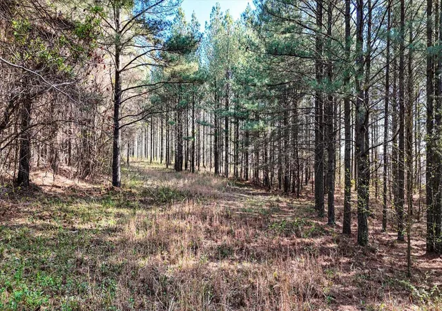 4th image of 1350 Split Rail Way, Guild, TN 37340 | MLS# 3167587