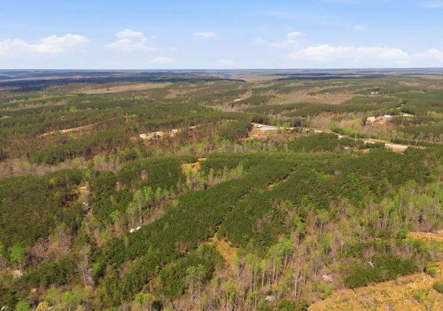 Photo 3 of Land for sale at 147 Starlight Dr, Linden, TN 37096 | MLS# 3179239 | Listing updated on 2026-07-15