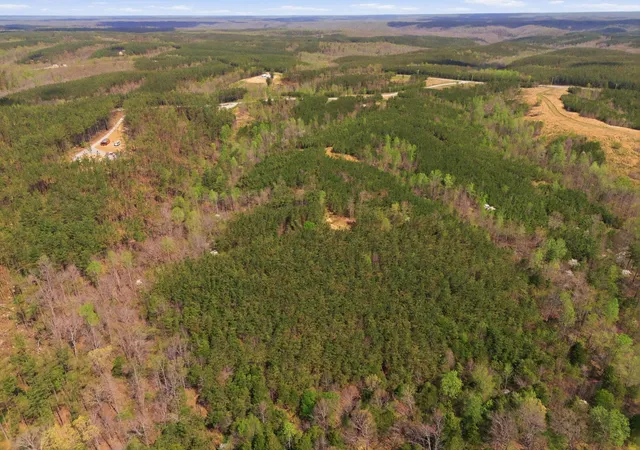 Photo 3 of Land for sale at 147 Starlight Dr, Linden, TN 37096 | MLS# 3179239 | Listing updated on 2026-07-15