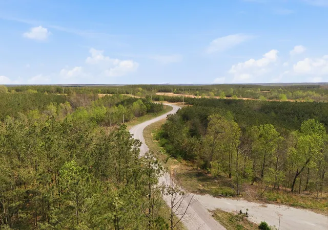 Photo 4 of Land for sale at 147 Starlight Dr, Linden, TN 37096 | MLS# 3179239 | Listing updated on 2026-07-15