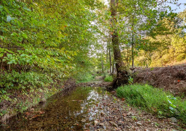 4th image of 0 Puckett Hollow Rd, Centerville, TN 37033 | MLS# 3169029