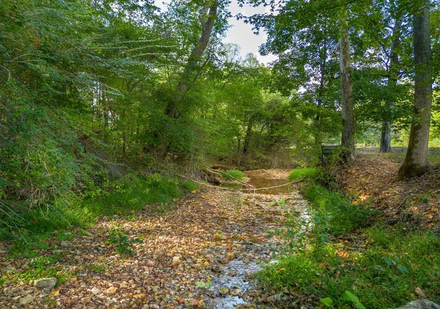 53rd image of 0 Puckett Hollow Rd, Centerville, TN 37033 | MLS# 3169029