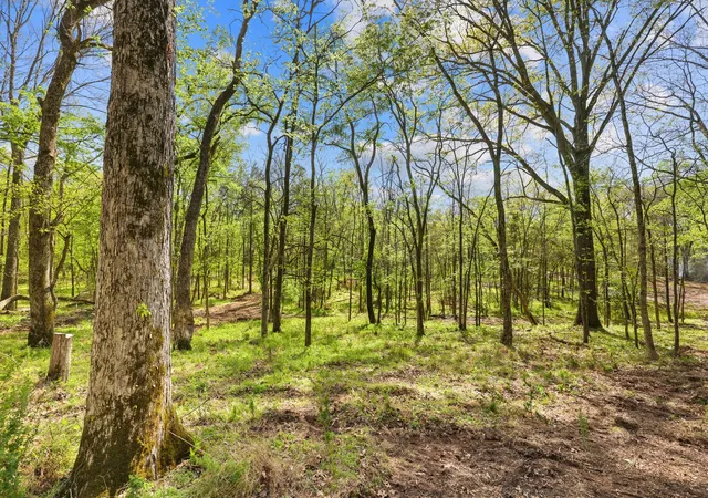 Photo 35 of Land for sale at 0 Hoggett Frd Rd, Hermitage, TN 37076 | MLS# 3169646 | Listing updated on 2026-04-17