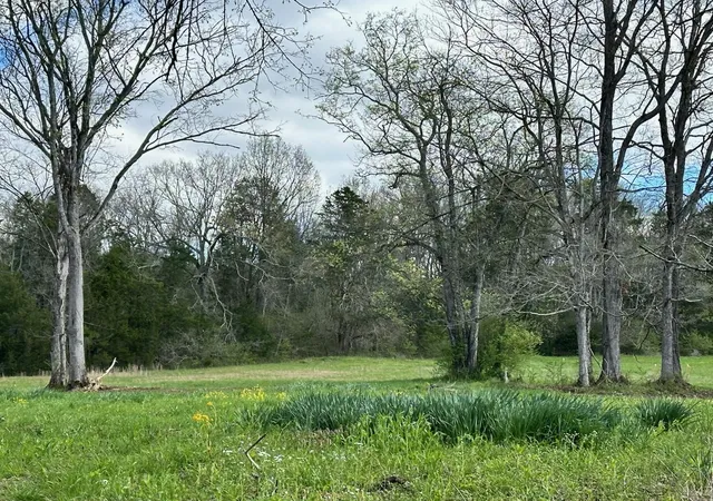 4th image of 0 Campbellsville Road, Pulaski, TN 38478 | MLS# 3168340
