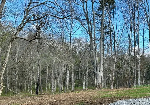5th image of 0 Campbellsville Road, Pulaski, TN 38478 | MLS# 3168340